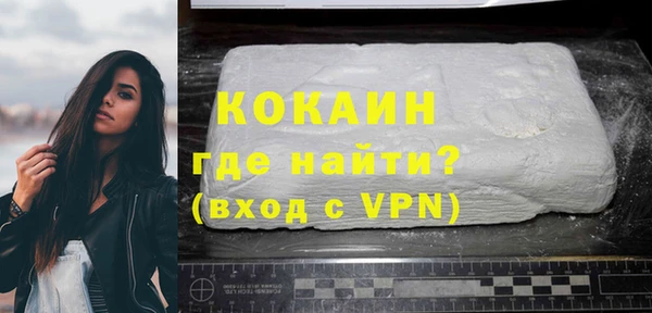 твердый Богданович