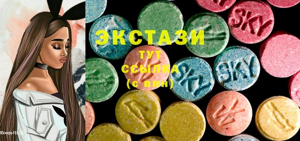 гашик Новозыбков