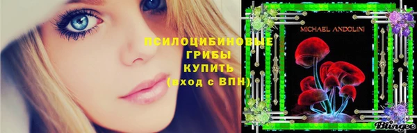 трава Беломорск