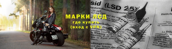 твердый Богданович
