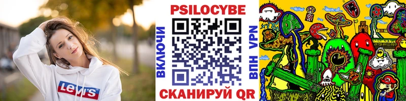 купить   Губкинский  Галлюциногенные грибы Psilocybe 