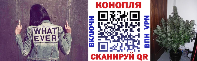 Бошки марихуана VHQ  Губкинский 